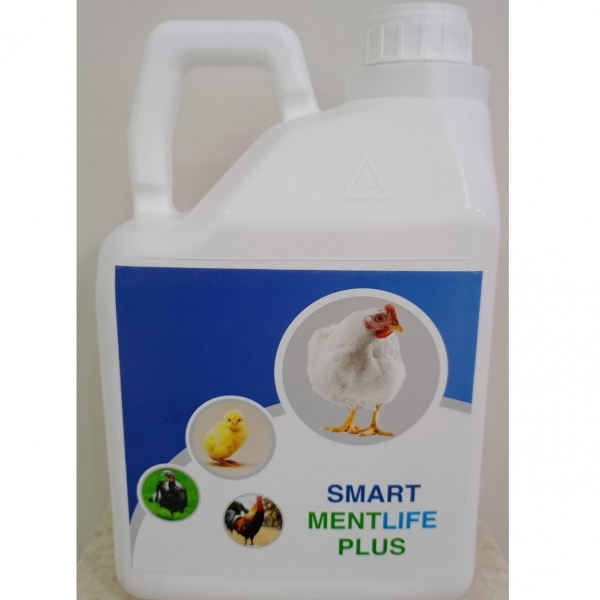SMART MENTLIFE PLUS